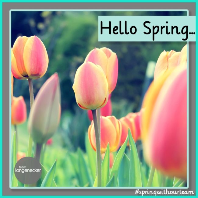 Hello Spring #springwithourteam