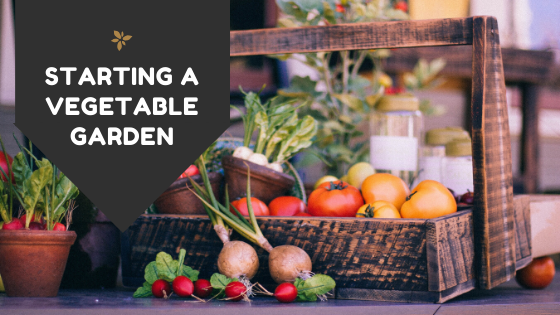 starting-a-vegetable-garden Tips and tricks for your at home garden