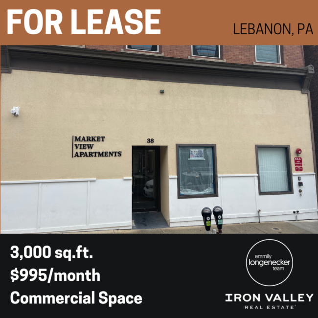 2023 Emmily Longenecker Team Iron Valley Real Estate