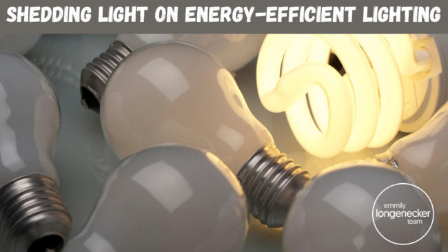Shedding light on energy-efficient lighting with the Emmily Longenecker Team