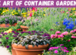 The Art of Container Gardening
